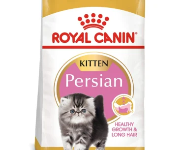 Specially Formulated for the Unique Needs of Royal Canin Persian Kitten