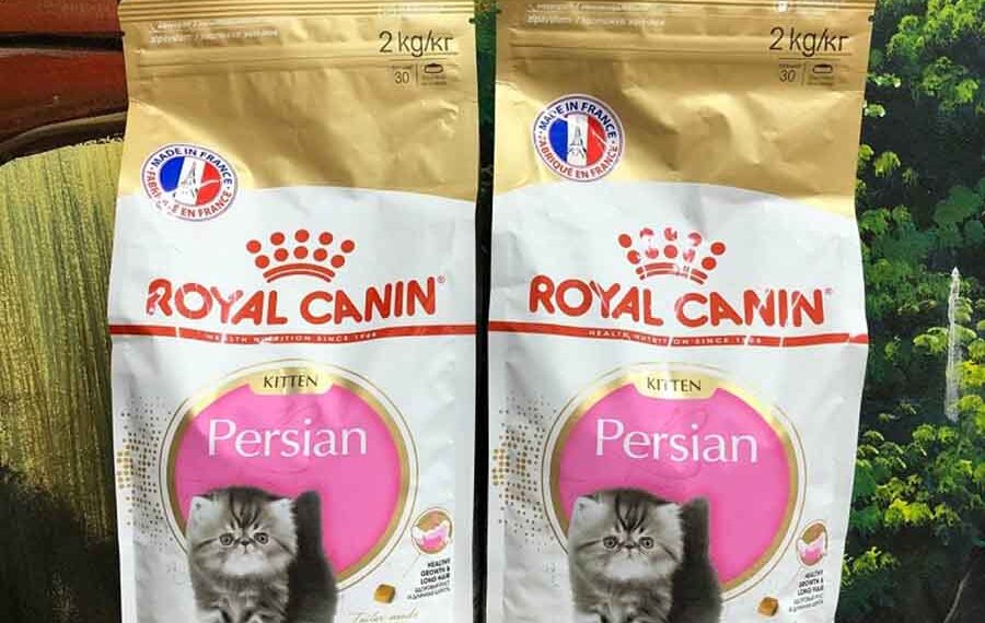 Where to Buy Royal Canin Persian Kitten Formula