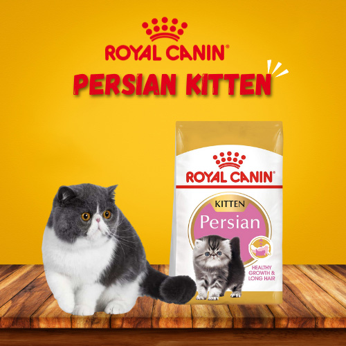 Introduction to Royal Canin Persian Kitten Dry Formula