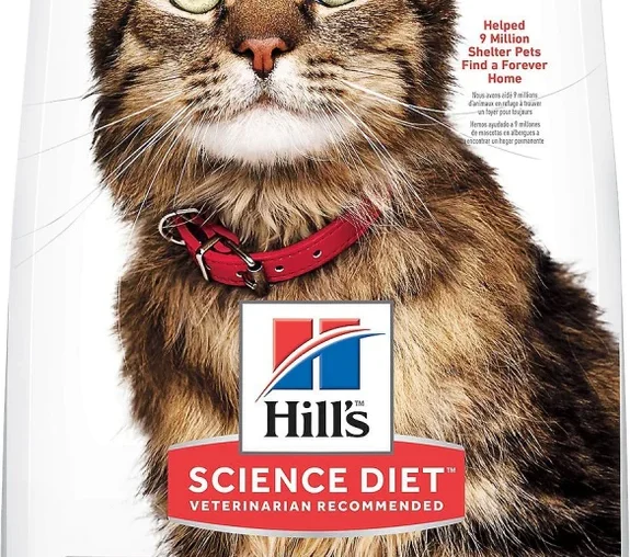 Introduction to Hill's Science Diet Adult Sensitive Stomach and Skin Chicken Recipe dry cat food