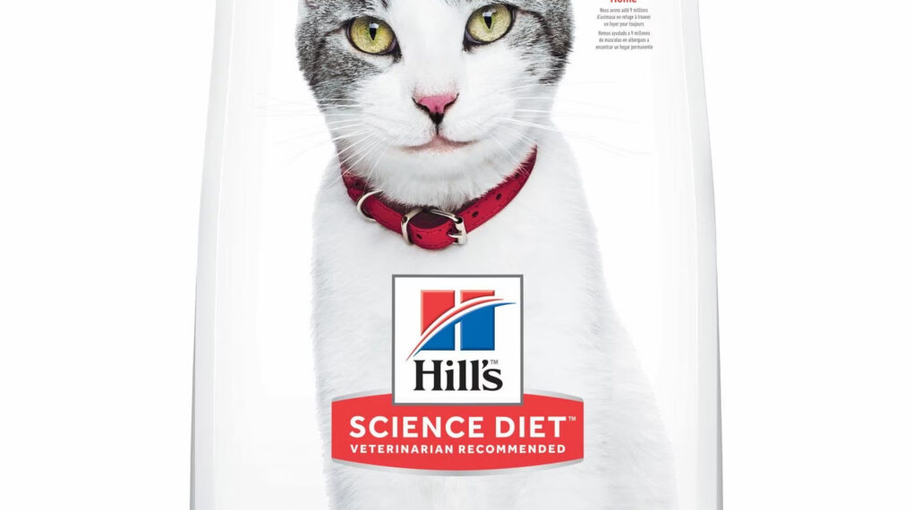 Introduction to Hill's Science Diet Mature Adult 11+ Chicken Recipe Dry Cat Food