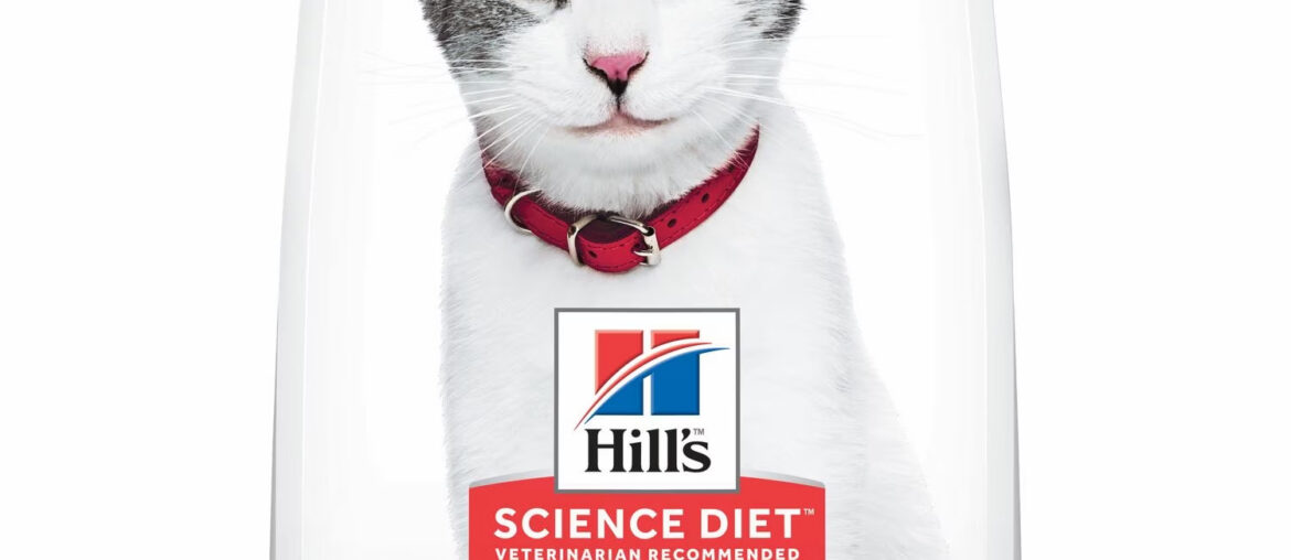 Introduction to Hill's Science Diet Mature Adult 11+ Chicken Recipe Dry Cat Food