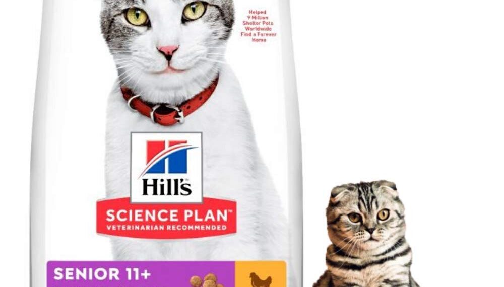Where to Buy Hill's Science Diet Mature Adult 11+ Chicken Recipe Dry Cat Food