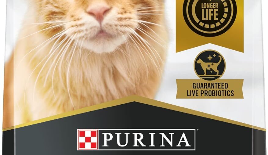 Purina Pro Plan Bright Mind Senior Cat Food with Chicken & Rice: Optimal Brain Support for Aging Cats