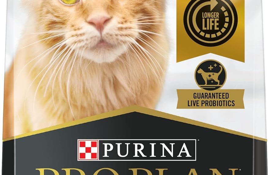 Introduction to Purina Pro Plan Bright Mind Senior Cat Food with Chicken & Rice