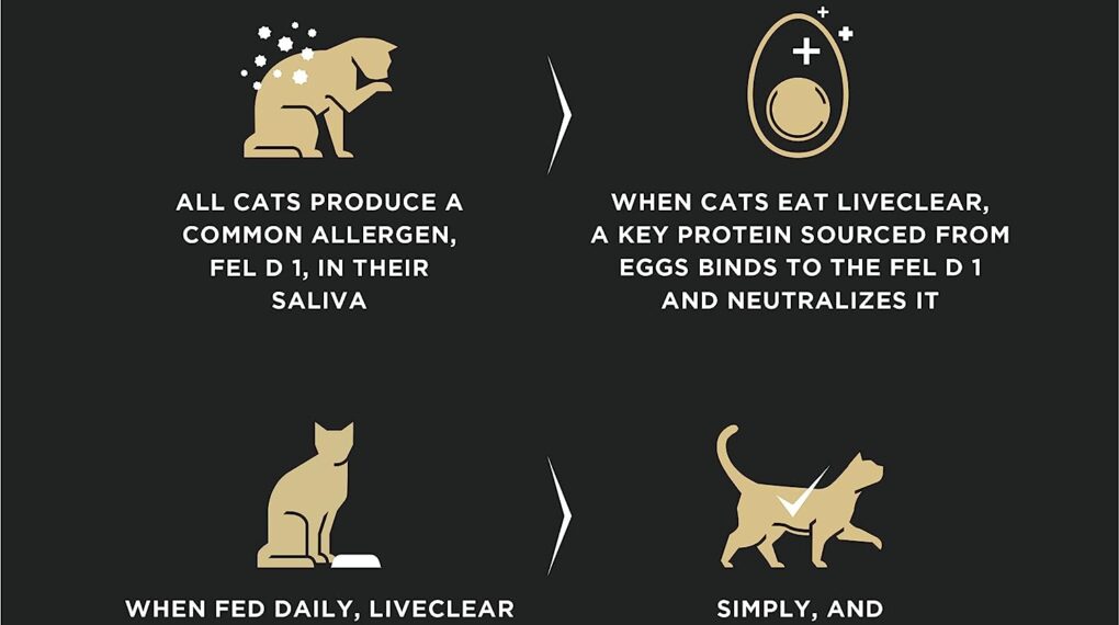 How to Feed Your Cat Purina Pro Plan LiveClear Allergen Reducing Cat Food