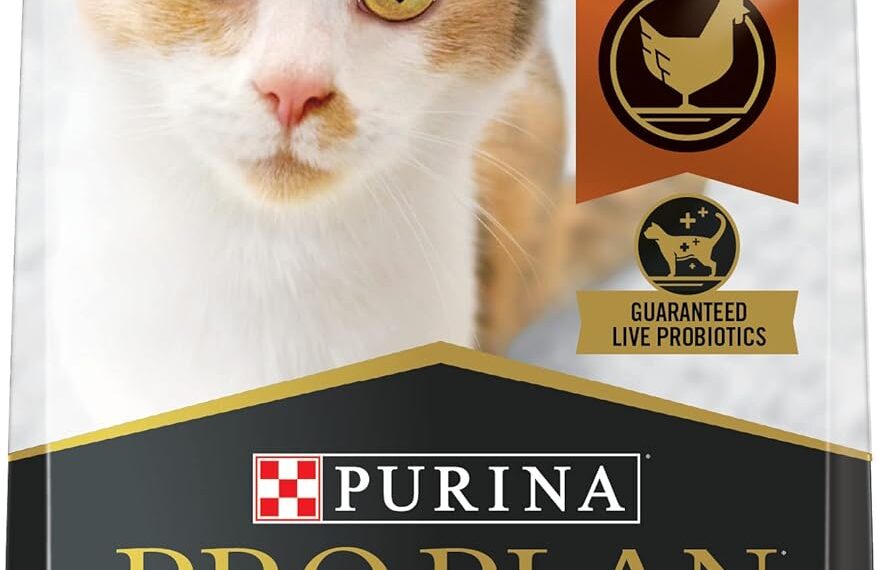Introduction to Purina Pro Plan Savor Shredded Blend Adult Cat Food – Chicken & Rice