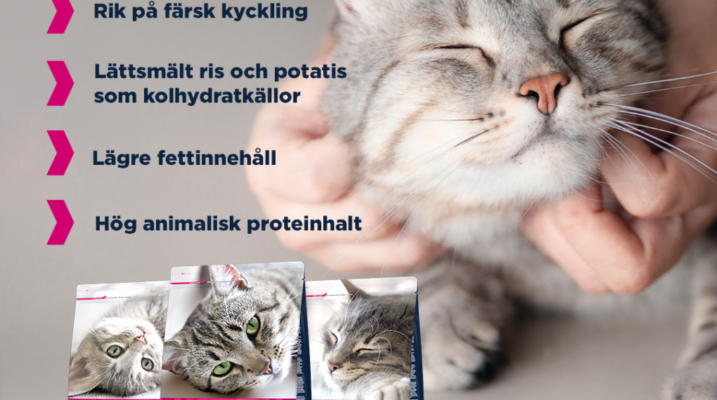 Benefits of Eukanuba Mature Adult 7+ Formula Dry Cat Food