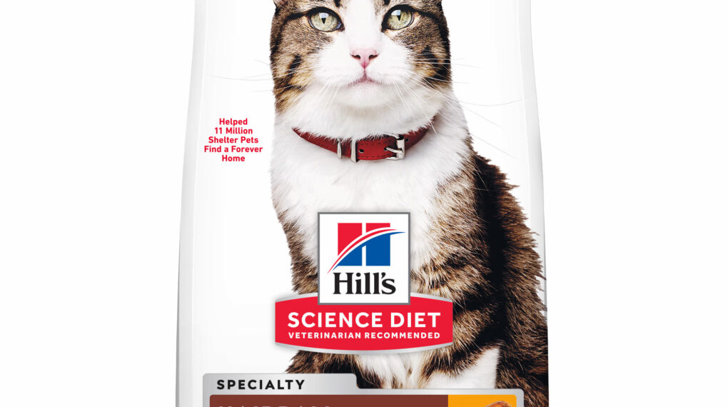 Where to Buy Hill's Science Diet Adult Hairball Control Chicken Recipe Dry Cat Food