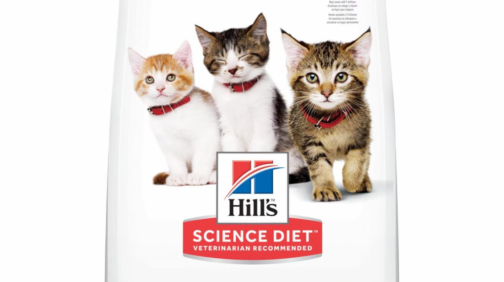 Introduction to Hill's Science Diet Kitten Chicken Recipe Dry Cat Food