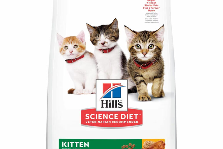 Introduction to Hill's Science Diet Kitten Chicken Recipe Dry Cat Food