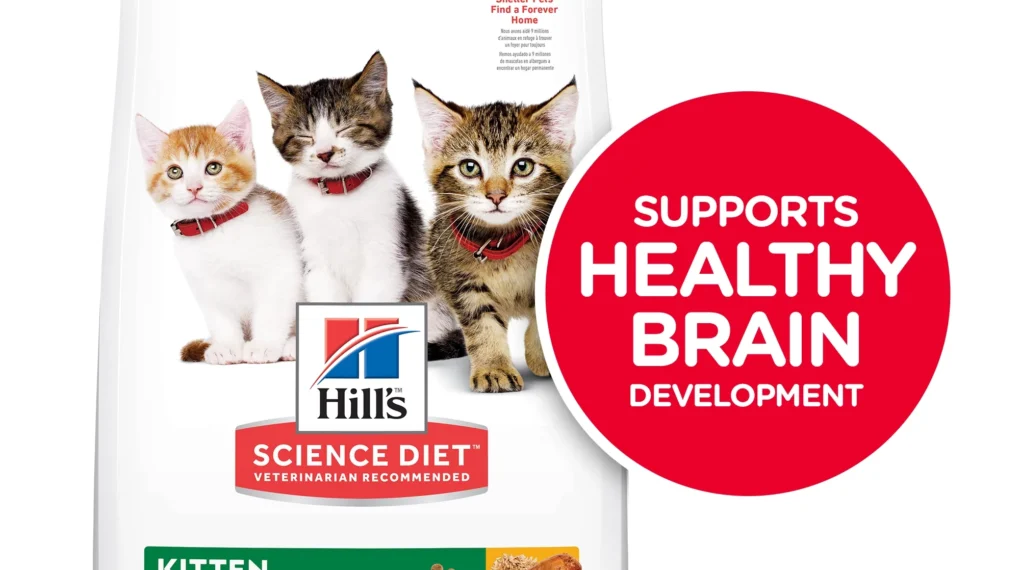 How to Feed Your Kitten with Hill's Science Diet Kitten Chicken Recipe Dry Cat Food