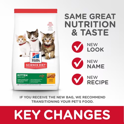 Where to Buy Hill's Science Diet Kitten Chicken Recipe Dry Cat Food
