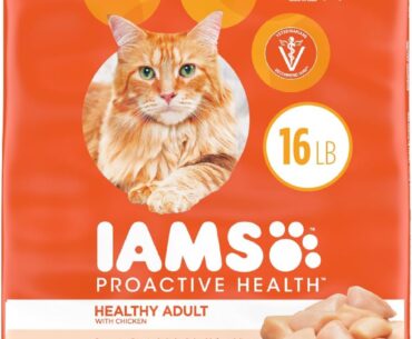 Introduction to IAMS ProActive Health Adult Chicken Dry Cat Food