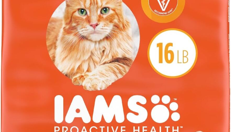 Introduction to IAMS ProActive Health Adult Chicken Dry Cat Food