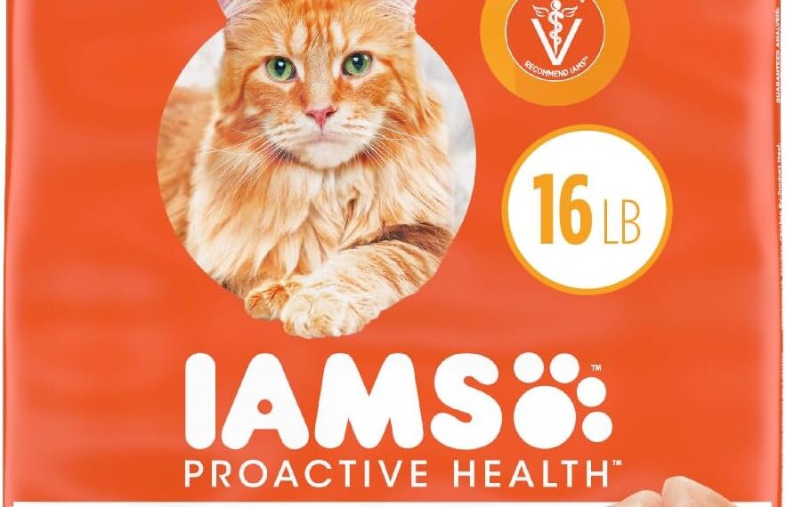 Introduction to IAMS ProActive Health Adult Chicken Dry Cat Food