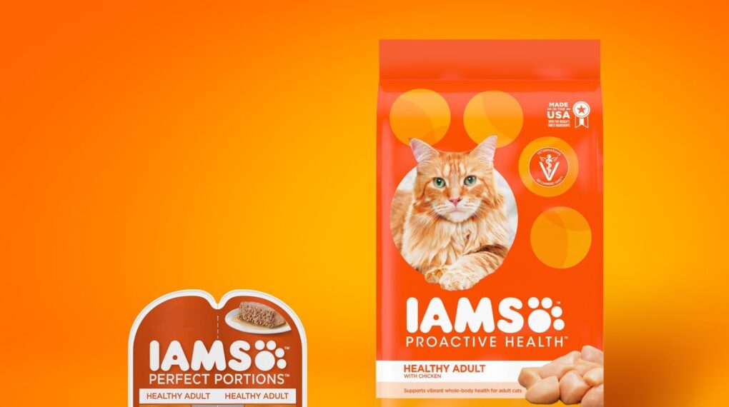 Where to Buy IAMS ProActive Health Adult Chicken Dry Cat Food?