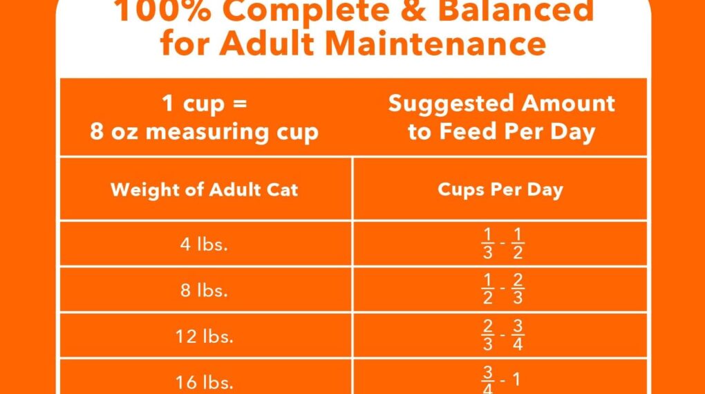 Where to Buy Iams ProActive Health Weight Control Chicken Dry Cat Food?