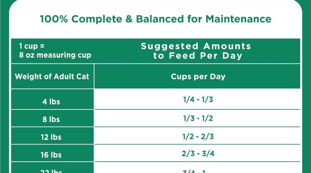 How to Feed Your Cat with Iams ProActive Health Mature Adult 7+ Chicken Dry Cat Food?